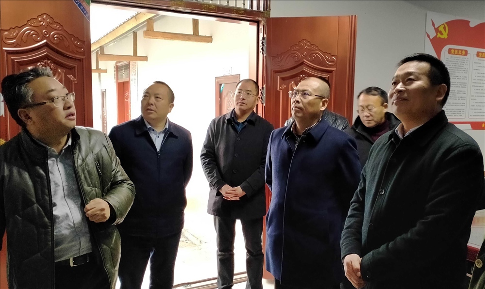在双胜镇调研
