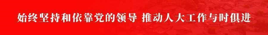 始终坚持和依靠党的领导